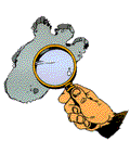 Formation de base en cryptozoologie
