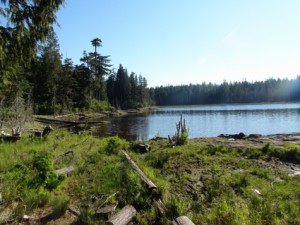 Carlson Lake (4)