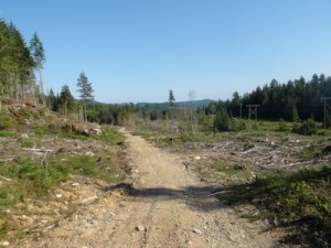 La mise à blanc près du Campground