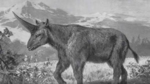 Elasmotherium sibiricum