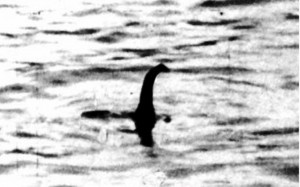 Photo de Nessie (Photo K. Wilson)