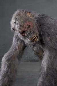 Grey Gorilla costume from Congo