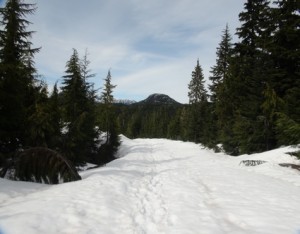 La route enneigée (photo E. JOYE)