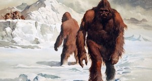 2103994_le-yeti-totem-des-creatures-impossibles-web-tete-030463281229 (2)